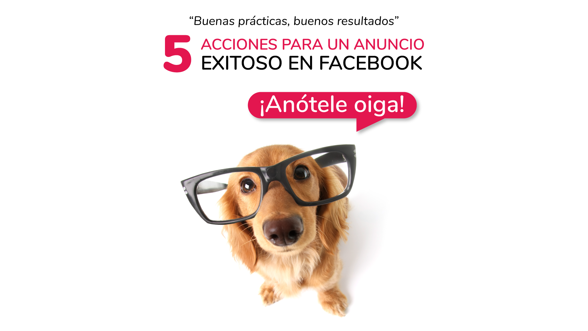 5 acciones para un anuncio exitoso